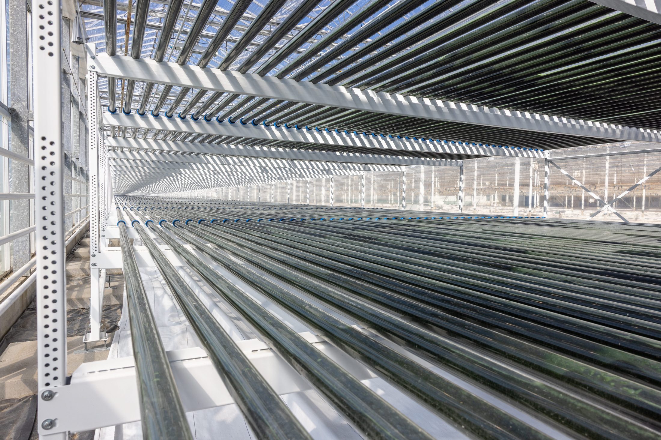 Fotobioreactorsysteem in de nieuwe kas in Bleiswijk