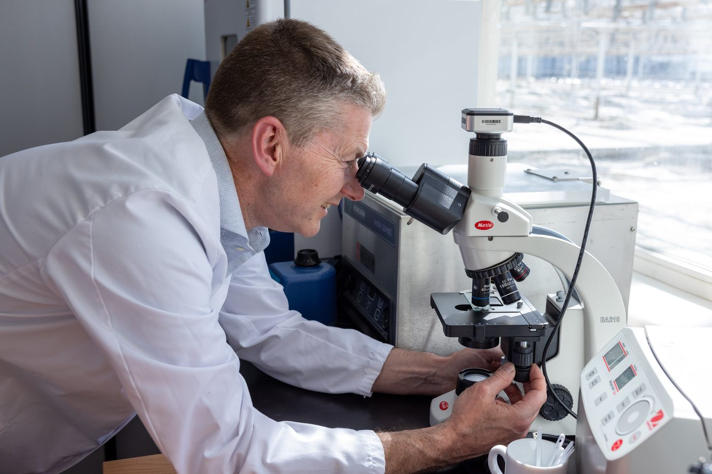 Microscopisch onderzoek van een algencultuur